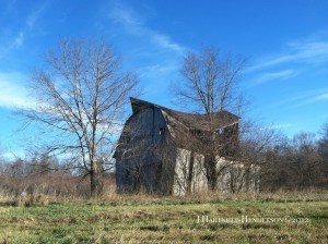 Barn In Need of Transformation