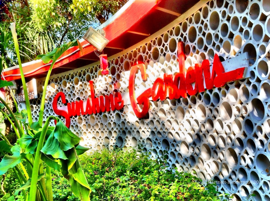 Sunshine Garden Photo by Jennifer Hartnett-Henderson ©2013 taken with my iPhone using HDR3, edited in Perfectly Clear, Snapseed, Impressions and iResize