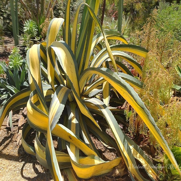 Living Sculpture by Jennifer Hartnett-Henderson ©2013