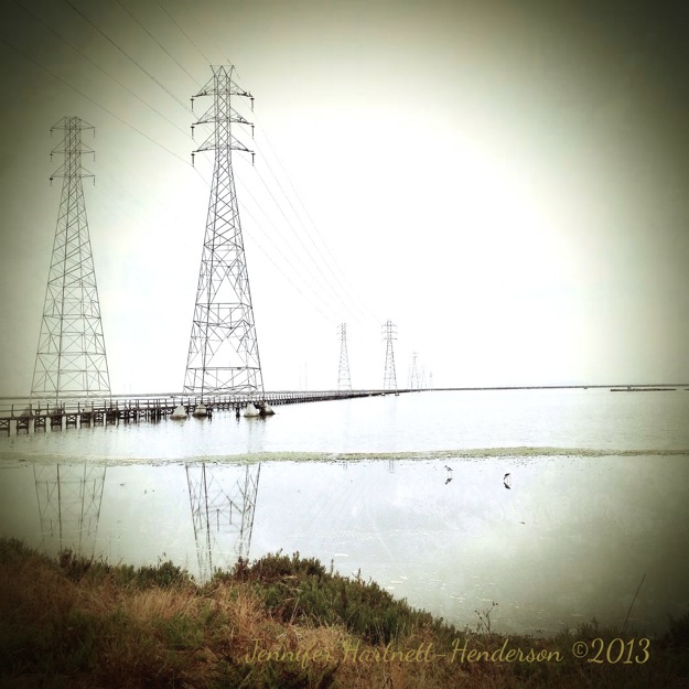 Morning on the San Francisco Bay with Sandpipers by Jennifer Hartnett-Henderson ©2013