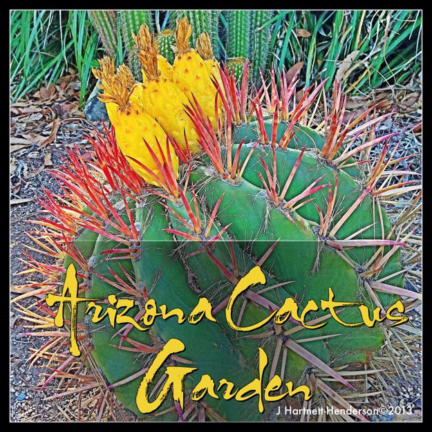 Arizona Cactus Garden at Stanford by Jennifer Hartnett-Henderson ©2013