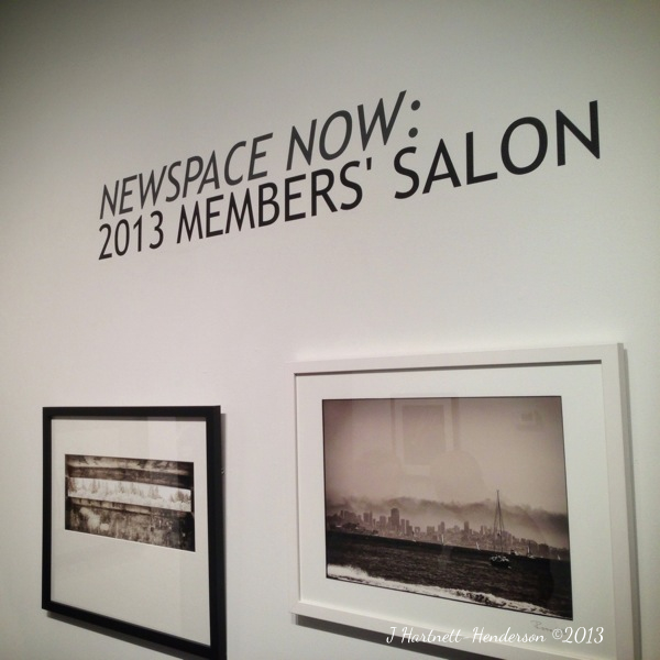Newspace Now: 2013 Members' Salon