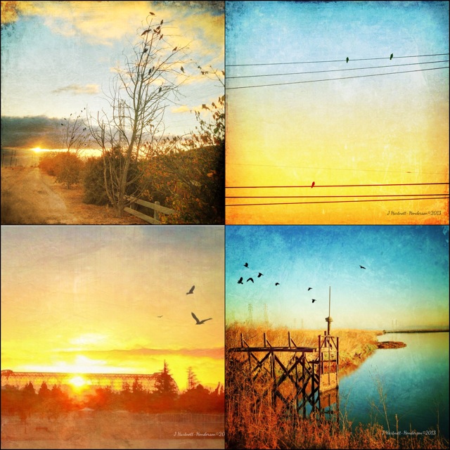 Mixed Use 2 © Jennifer Hartnett-Henderson