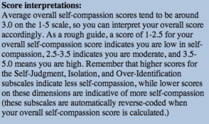 Self Compassion Components