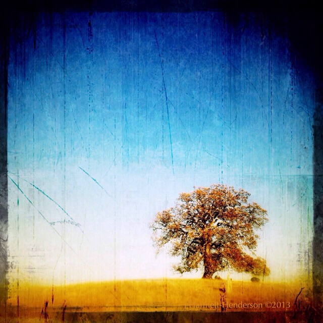 Standing the Tests of Time by Jennifer Hartnett-Henderson ©2013