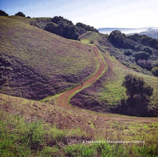 Up and Up and Up by Jennifer Hartnett-Henderson ©2014