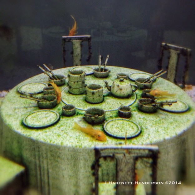 Hotel Droog Cafe, Fish at the Table by Jennifer Hartnett-Henderson ©2014