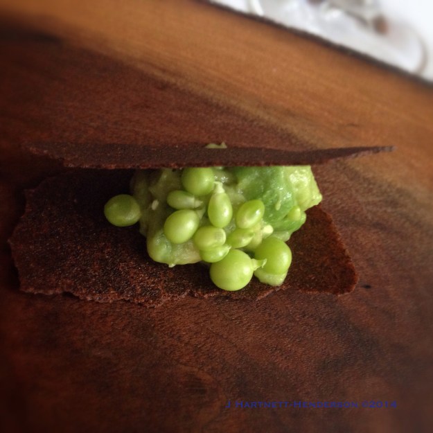 Dinner at Castagna, Amuse Bouche #2, by Jennifer Hartnett-Henderson ©2014