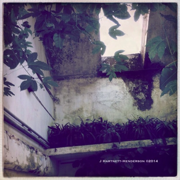 Moody Skylight by Jennifer Hartnett-Henderson ©2014