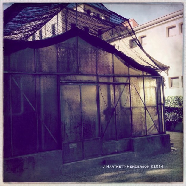 Grimy Greenhouse by Jennifer Hartnett-Henderson ©2014