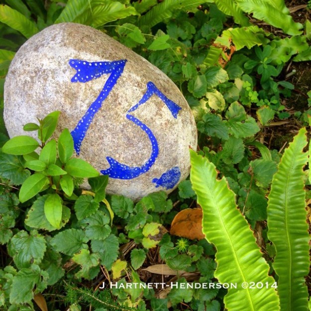 Venetian Blue Marks the Spot by Jennifer Hartnett-Henderson ©2014