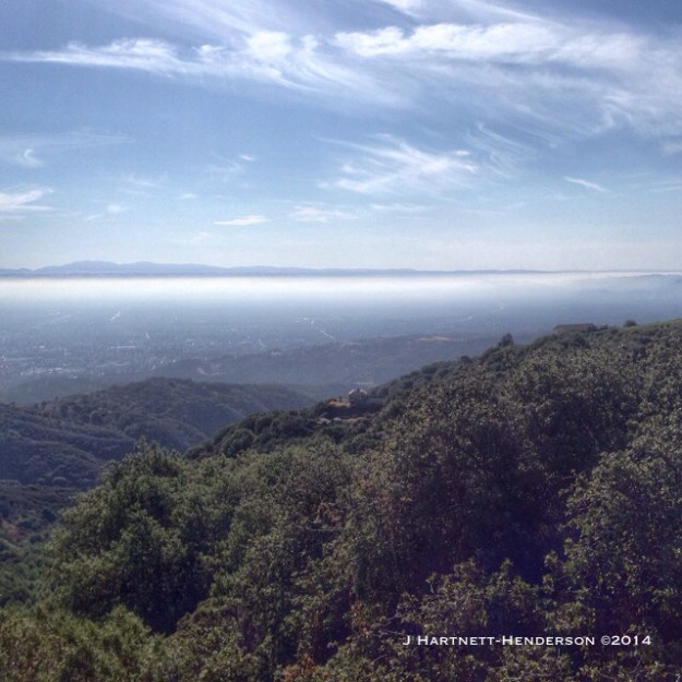 Above the Layer by Jennifer Hartnett-Henderson ©2014