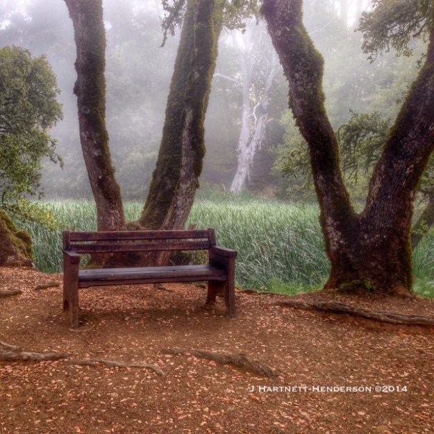 A Place to Rest by Jennifer Hartnett-Henderson ©2014