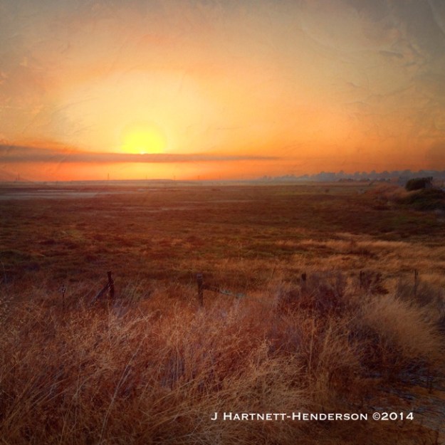 The Dearest Freshness by Jennifer Hartnett-Henderson ©2014