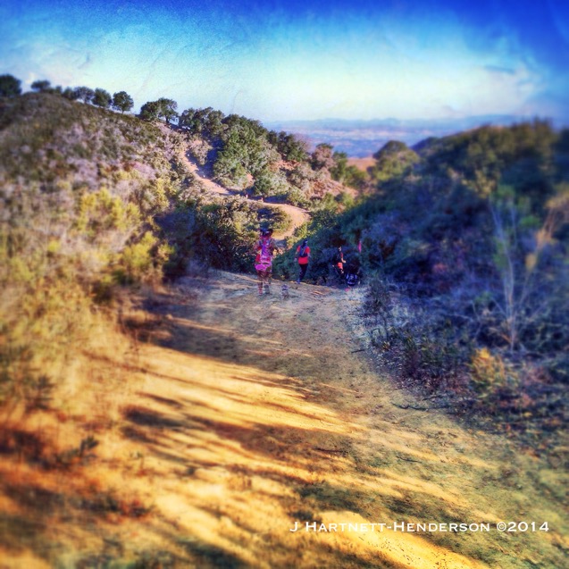 Up and Down We Go All in a Row by Jennifer Hartnett-Henderson ©2014