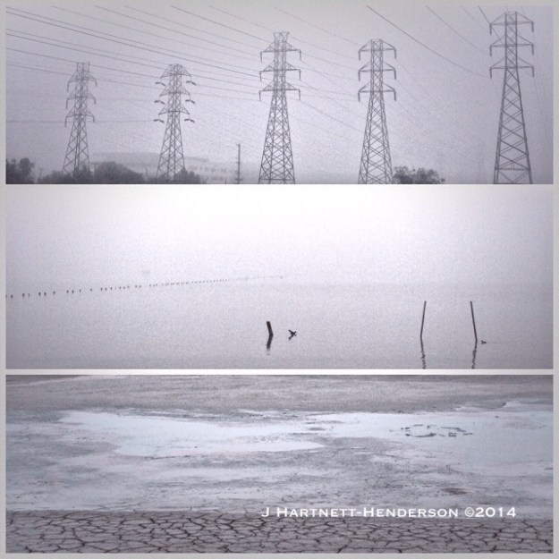 Shades of Gray Dawn by Jennifer Hartnett-Henderson ©2014