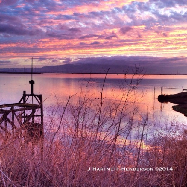 Glorious Dawn by Jennifer Hartnett-Henderson ©2014