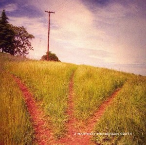 Fork in the Road by Jennifer Hartnett-Henderson ©2014
