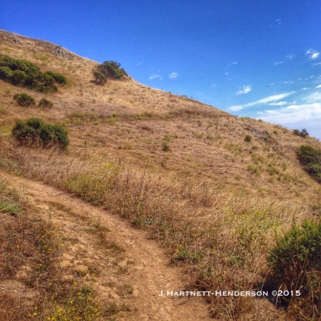 Anniversary Trail by Jennifer Hartnett-Henderson ©2015