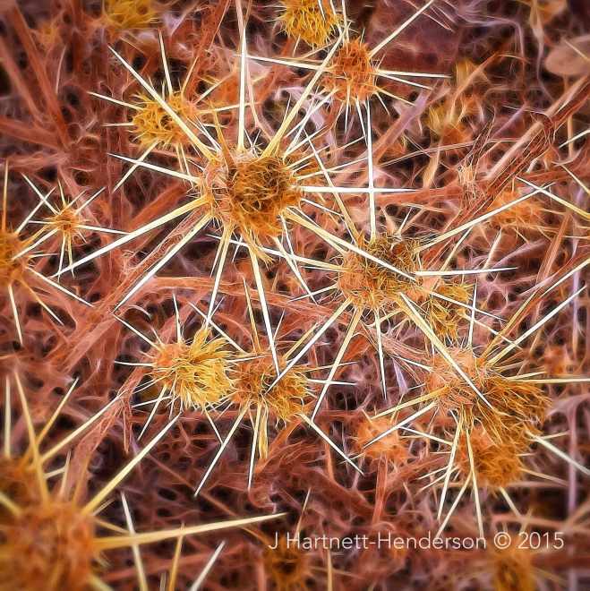 I Know Where the Stickers are by Jennifer Hartnett-Henderson © 2015