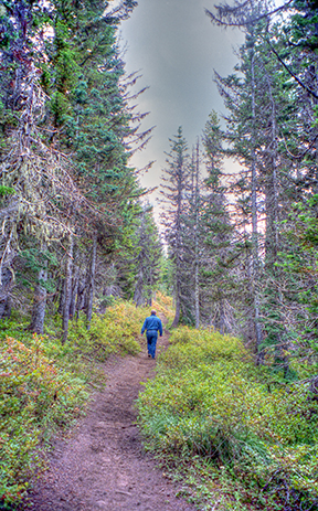 940024-1 Paul on PCT010_Merged LoRes ADOBE RGB for web